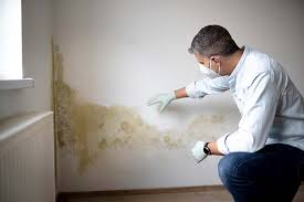 Best Mold Remediation for Vacation Homes  in Gulfport, FL